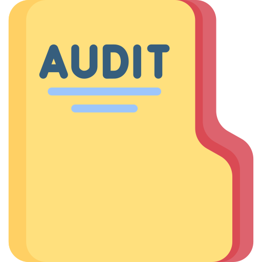 audit